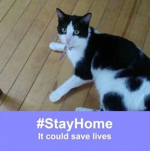 Meet your Posher, Tracey